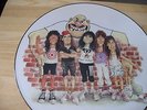 Anthrax Bacillus anthracis state of Euphoria PILPS 9916 picture disc record