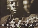 LIVE AT NEWPORT John Lee Hooker VINYL LP ALBUM 1960/2002 Vanguard Rec. UNIVERSE