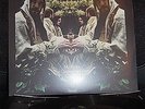 MIDLAKE / The courage of others /BELLAV 224 - 2010 - USA  - Psyché Folk Rock