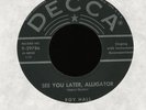 ROY HALL See You Later Alligator on Decca Rockabilly 45 Hear