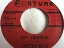 DOCTOR ROSS   CAT SQUIRREL ** Re-issue FORTUNE 45 MINT-