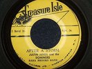 JUSTIN HINDS & THE DOMINOES - AFTER A STORM   (Ska)  45