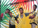 ZIGGY MARLEY  & MELODY MAKERS 'Time Has Come' (1988) 1st Press SEALED Reggae LP