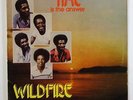 Wildfire 