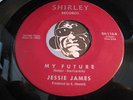 JESSE (Jessie) JAMES R&B / Northern Soul 45 My Future b/w A Sad Sad Situation