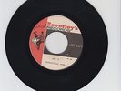 BEVERLEY'S/ VAT 7  -  BEVERLEY'S ALL STARS feat. DON DRUMMOND (66 SKA INSTR.7
