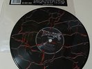 AT THE GATES/ DECAPITATED Slayer tribute 7 Vinyl RSD record store day 325 copies