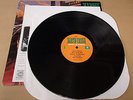 EARTH CRISIS Destroy The Machines LP 1995 VICTORY US Pressing Vegan Straightedge