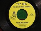 THE CAMEL DRIVERS Grass Looks Greener 45 MICHIGAN GARAGE FUZZ PSYCH Top Dog HEAR