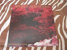 BLACK MAGICIAN Nature Is The Devil's Church Vinyl LP Blood Ceremony Occult Doom