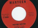 LA Teener Maylon DeWitt MARTEEN 1001 Never never / Lonely little teardrops  ?