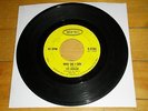 The Remains - Why Do I Cry/My Babe 45 (Epic) garage/fuzz VG HEAR