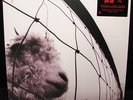 PEARL JAM VS. VINILE LP 180 GRAMMI GATEFOLD NUOVO E SIGILLATO 