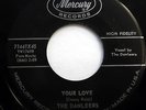 The DANLEERS 45 Your Love / I Can't Sleep MERCURY label DOO WOP e3949