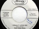 The DANLEERS 45 I Really Love You / My Flaming... MERCURY promo DOO WOP e3947