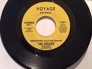 70s Soul 45 VIKINGS Heartaches (Don't Last Forever) VOYAGE HEAR