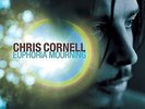 Euphoria Mourning - Chris Cornell (2015, Vinyl NEW)