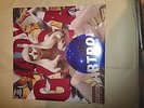 Lady Gaga Artpop Vinyl Album 12