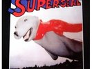DJ Qbert Super Seal Breaks Battle Record Thud Rumble Dirtstyle New Skratchy