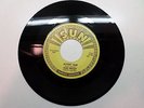 Elvis Presley Sun 223 1973 reissue Mystery Train/I forgot to remember to forget