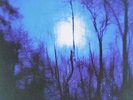 FLYING SAUCER ATTACK FURTHER LP VINYL NEW 33RPM