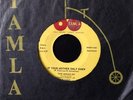 * MIRACLES If Your Mother Only Knew / Way Over There NORTHERN SOUL Tamla 45 HEAR