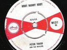 ? rare Island WI-211 PETER TOUCH Hoot Nanny Hoot / BOB MARLEY Do You Remember