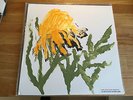 The mountain goats/Come Come to the sunset tree. Numbered hand painted LP Vinyl