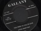 Hear) 1959 Little Jimmy Ray Popcorn / Northern Soul 45 (You Need to Fall in Love