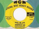 Obscure Northern Soul 45 Wakefield Sun - Trypt On Love 1960's 7