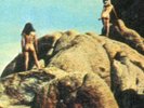 FRATERNITY OF MAN / Self Titled/ DEBUT/BELL SOUND/1968 ABC STEREO/ Zappa/NUDE/NM