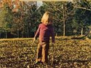 The Allman Brothers Band-Brothers and Sisters VINYL NEW