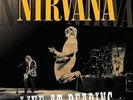 NIRVANA Live At Reading - 2 LP SET - Nirvana (2009, Vinyl) DOUBLE ALBUM