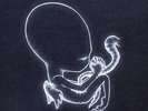 Sigur Ros - Agaetis Byrjun - 2 x 180gram Audiophile Vinyl LP & CD SEALED