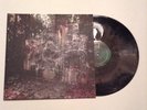 La Dispute Wildlife Lp Sunburst Vinyl