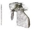 Coldplay A Rush of Blood to the Head New Vinyl LP