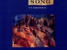 Song It's Immaterial vinyl LP album record UK SRNLP27 SIREN 1990