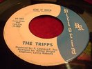 THE TRIPPS 