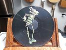 Rare Grateful Dead LP Picture Disc MINT Silent Dead Movie Skeleton