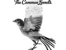 Common Linnets - Calm After The Storm - Charts/Contemporary Country