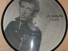 BRUCE SPRINGSTEEN - NASSAU  - PICTURE DISC - LP  -  RARE