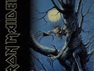 Iron Maiden 2-LP vinyl record (Double Album) Fear Of The Dark UK EMD1032 EMI