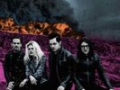 The Dead Weather-Dodge and Burn Vinyl / 12