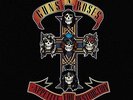 Guns N' Roses - Appetite for Destruction (2008)  Vinyl LP  NEW  SPEEDYPOST
