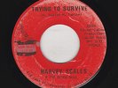 Harvey Scales & The 7 Seas - Trying To Survive / Bump Your Thang (Soul, 45)