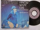 GENESIS -I know what I like (in your wardrobe)- 7