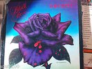THIN LIZZY BLACK ROSE ORIG UK 12' LP EX 1979  first edition rare vinyl