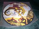 Metallica No Remorse Picture Disc LP Bootleg Langspielplatte TOPP SELTEN RAR