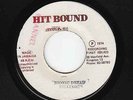 Dillinger - Bionic Dread - WICKED