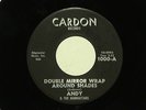 ANDY AND MANHATTANS Double Mirror Wrap Around Shades CARDON   listen GARAGE